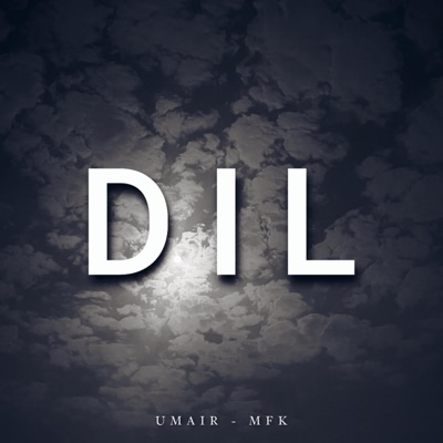 DIL (feat. UMAIR) - Single