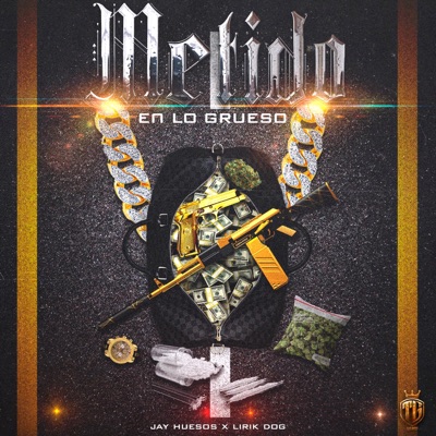 Metido en lo grueso - Single