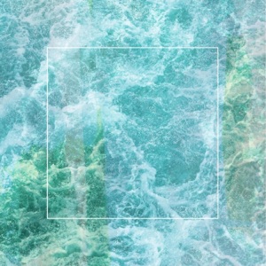 The Flood, The Hope - Single