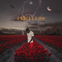 Priceless - Single - YB the Camp