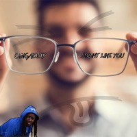 I Don't Like You - Single - OmgAddy