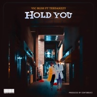 Hold you (feat. Vic bliss) - Single - Teedanzzy