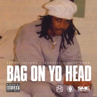 Bag On Yo Head (feat. Killa Twan & Gunplay) - Single - Felipe Luciano