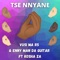 Tse Nnyane (feat. Kosha Za) artwork