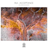 Acceptance (Alma (Ger) Remix) artwork