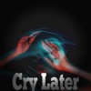 Cry Later (feat. Poter Payper) - Single