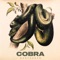 Cobra - Nahthexen lyrics