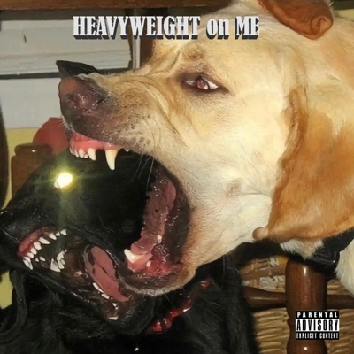HeavyweightOnMe - Single