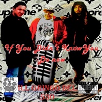 IF YOU DIDNT KNOW NOW YOU DO (feat. RICO 2 SMOOVE & LSE) - Single - Ill Gringo Del 530