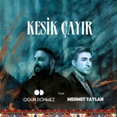 Kesik Çayır (feat. Mehmet Taylan) artwork