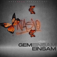 Gemeinsam Einsam - Single - Nasjo & Insert.disk
