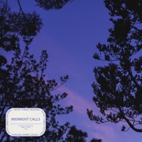 Midnight Calls - Single - Ricardo Schneider, 9ICK & Lenny Loops