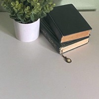 Hair - Single - heylog