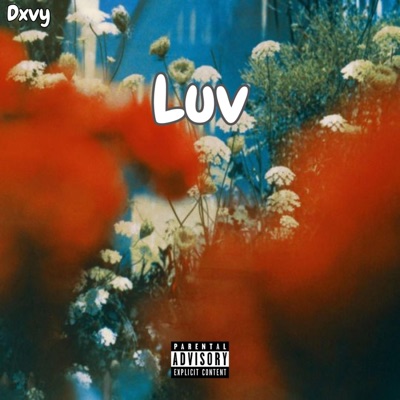 Luv - Single