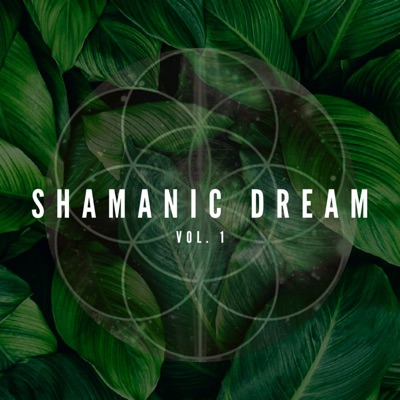 Shamanic Dream, Vol. 1 (Acoustic)