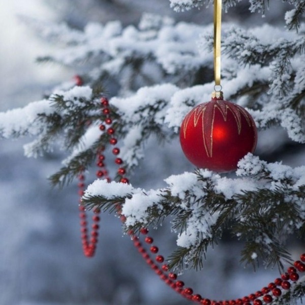 Christmas Christmas