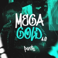 MEGA GOLD 4.0 - Single - DJ PEROTZ
