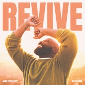 Revive artwork