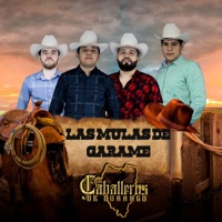 Las Mulas de Garame - EP - Los Caballeros de Durango
