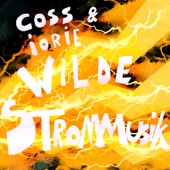 Wilde Strommusik artwork