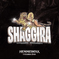 Shaggira 2024 (shaggesnekk) (feat. Shaggers) - Single - Tyrannen