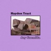Joy Guerrilla - Hayden Tract (Dusk)