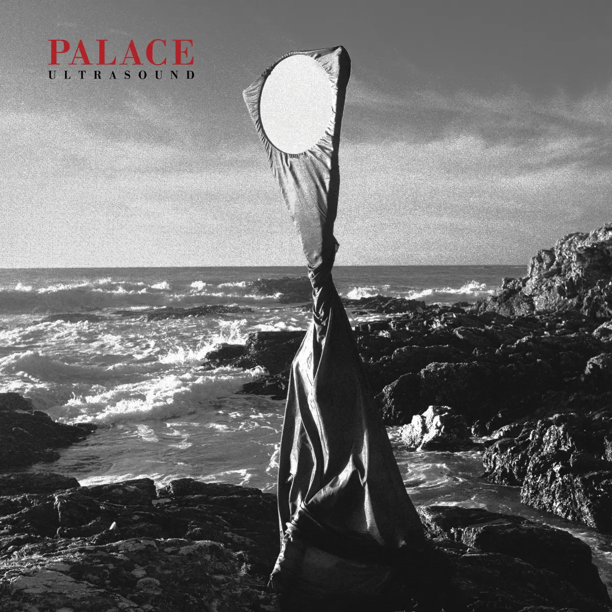 Palace - Ultrasound (2024) [iTunes Plus AAC M4A]-新房子