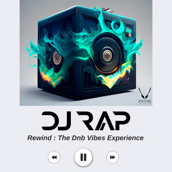 Rewind: The Dnb Vibes Experience (DJ Mix)