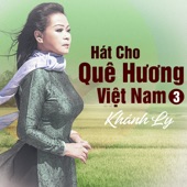 Mưa Hồng artwork