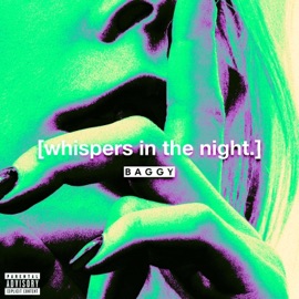 Whispers In the Night Baggy