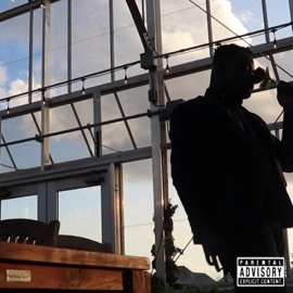 Dynamite DaveTheWizard