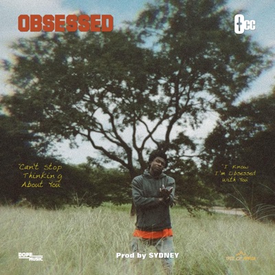 Obsessed - Single