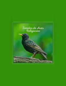 Dengarkan Sonidos De Aves, tonton video musik, baca bio, lihat tanggal tur & lainnya!