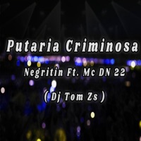 Putaria Criminosa - Single - Dj Tom Zs, Mc Negritin & DN 22