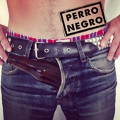 Perro Negro artwork