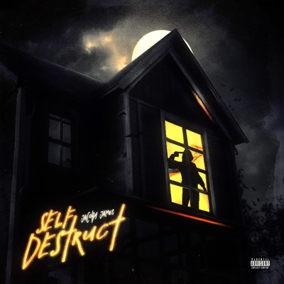 Self Destruct