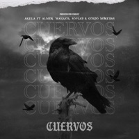 Cuervos (feat. ALMEN, Warrior Rapper School, Gordo Monedas, Sofgab & R130 Beatz) - Single - Akela