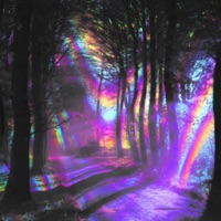 Weight - Single - Tikkit