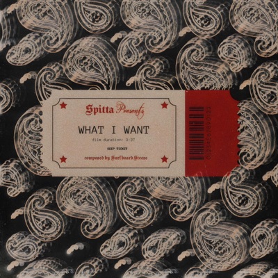 WHAT I WANT (feat. Jay Vasquez) - Single