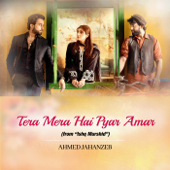Tera Mera Hai Pyar Amar (From &quot;Ishq Murshid&quot;) - Ahmed Jehanzeb Cover Art