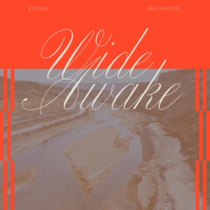 Wide Awake - Single