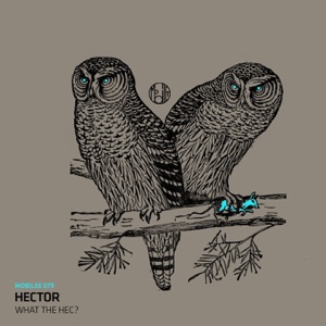What The Hec? - EP