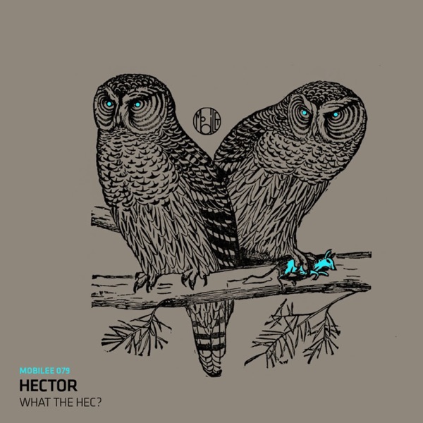 What The Hec? - EP