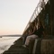 Too Late To Care (feat. Julianna Faustino) - Playgrounds lyrics