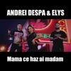 Mama ce haz ai madam (feat. Elys) - Single