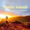 Yoga Music (Dream Study Guitar) (Sea Shore) - Handpan Club lyrics