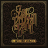 Zac Brown Band - Welcome Home artwork