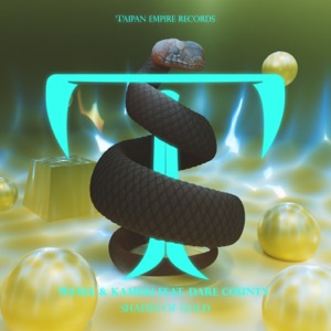Shades of Gold (feat. Dare County) - Single