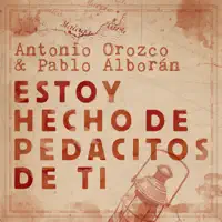 ESTOY HECHO DE PEDACITOS DE TI