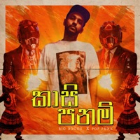 Kasi Panam (feat. Pop Punk) - Single - BigDoggy